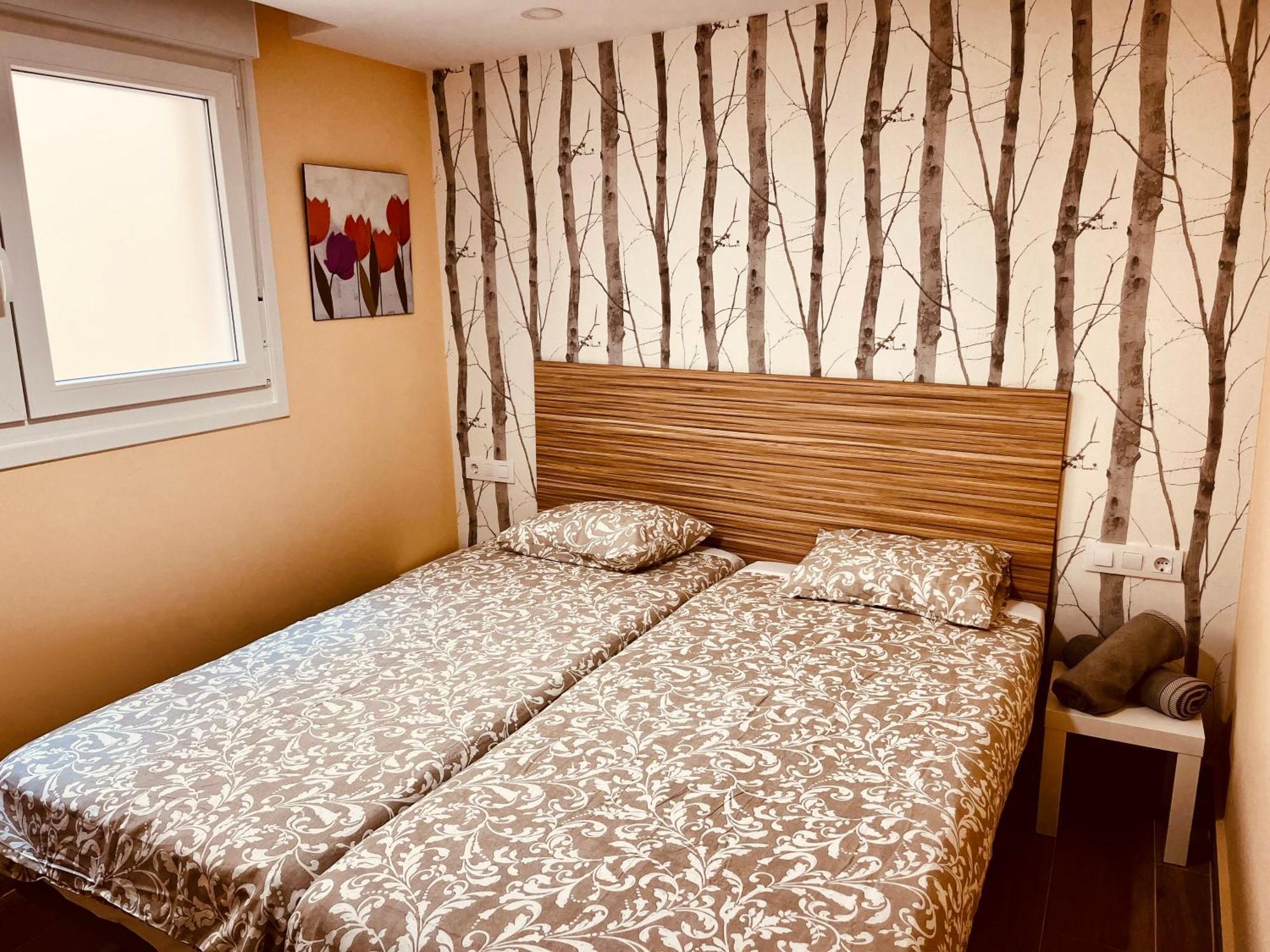 Apartamentos San Nicolas 洛格罗尼奥 外观 照片